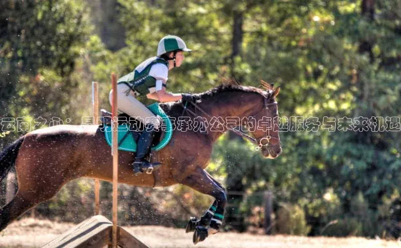 长征app下载安装一径科技云南之心：昆明运动赛事承办公司的卓越服务与未来机遇