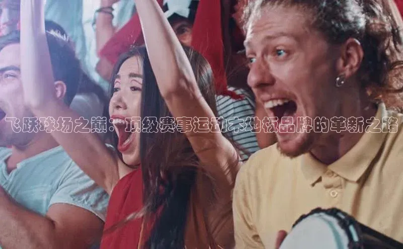 飞跃球场之巅：顶级赛事运动木地板品牌的革新之路