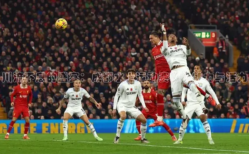 川流不息的盛宴：成都水上运动赛事的魅力与活力