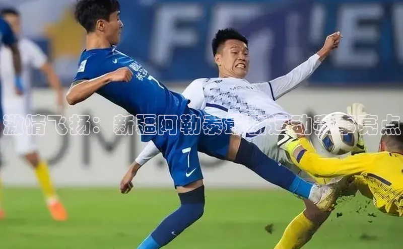 激情飞扬：新疆阿勒泰最新运动赛事亮点