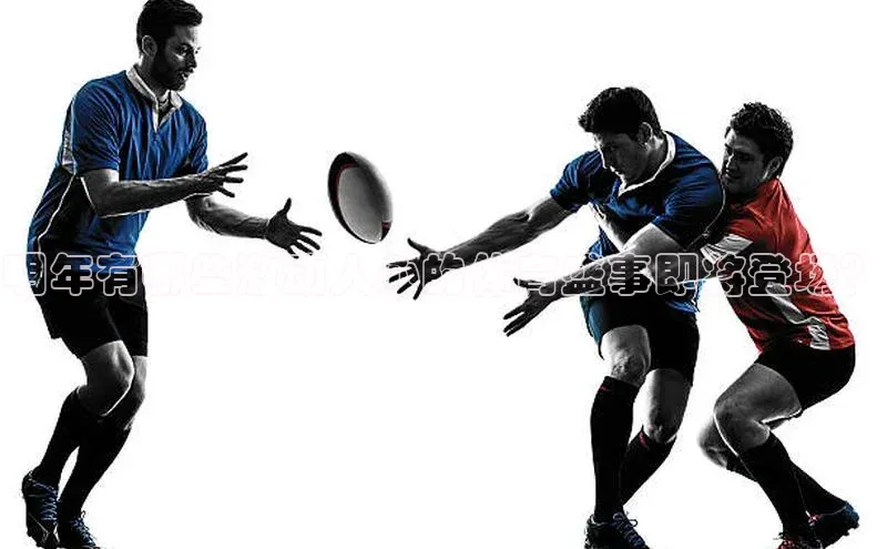 明年有哪些激动人心的体育盛事即将登场？