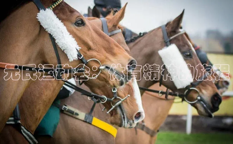 元氏运动会：体育精神的旅程