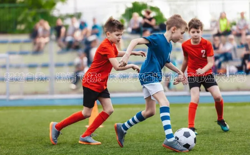 超越自我，激情飞扬：庆祝第X届运动会盛事盛大开幕