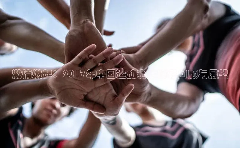 激情燃起：2017年中国运动赛事精彩回顾与展望