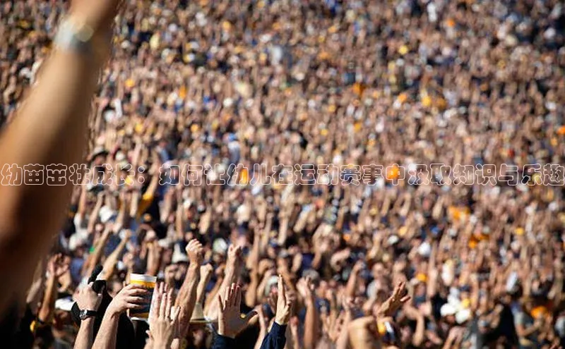 幼苗茁壮成长：如何让幼儿在运动赛事中汲取知识与乐趣