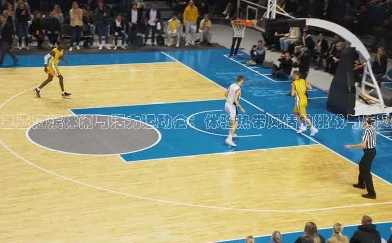 三亚海滨休闲与活力运动会：体验热带风情的挑战与乐趣