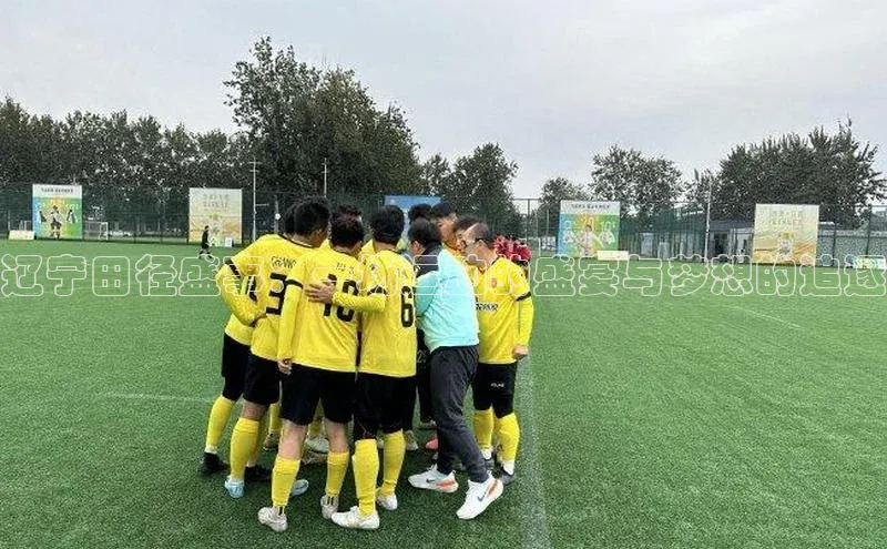 辽宁田径盛事：一场运动的盛宴与梦想的追逐